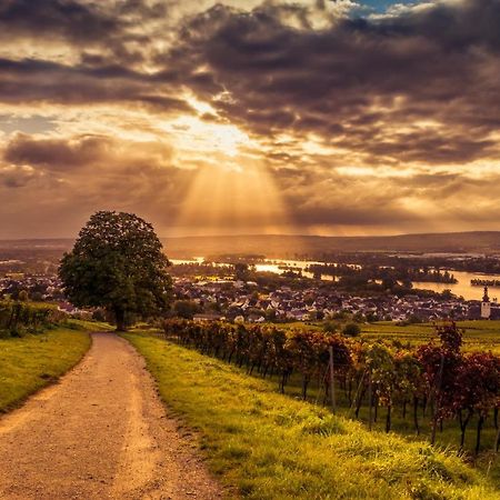 Ferienwohnung Reblaus Rüdesheim am Rhein Esterno foto